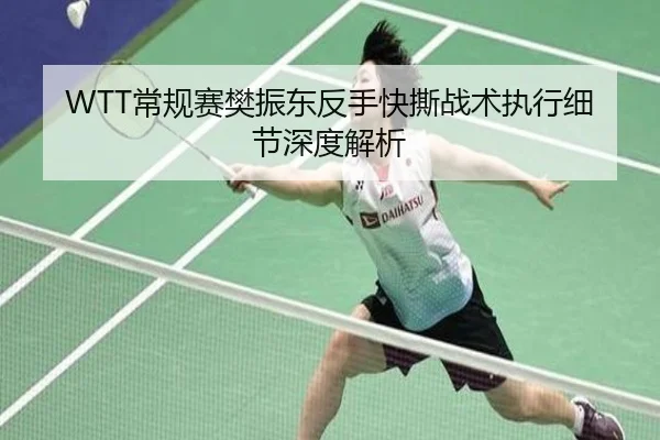 WTT常规赛樊振东反手快撕战术执行细节深度解析
