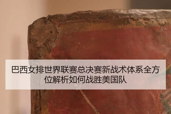ba-xi-nv-pai-shi-jie-lian-sai-zong-jue-sai-xin-zhan-shu-ti-xi-quan-fang-wei-jie-xi-ru-he-zhan-sheng-mei-guo-dui-3-201.jpg