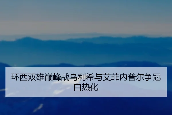 huan-xi-shuang-xiong-dian-feng-zhan-wu-li-xi-yu-ai-fei-nei-pu-er-zheng-guan-bai-re-hua-2-739.jpg