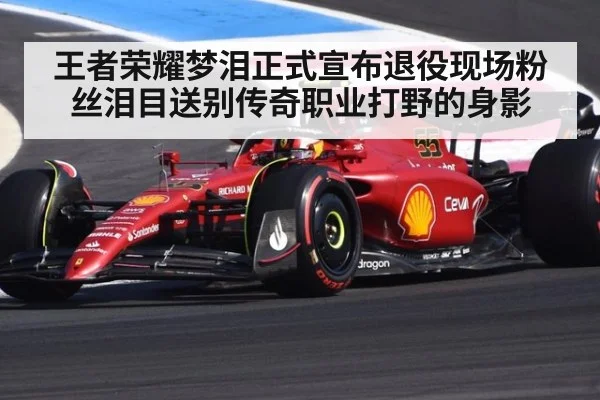王者荣耀梦泪正式宣布退役现场粉丝泪目送别传奇职业打野的身影